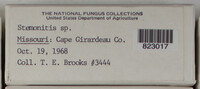 Image Associated With the Occurence
